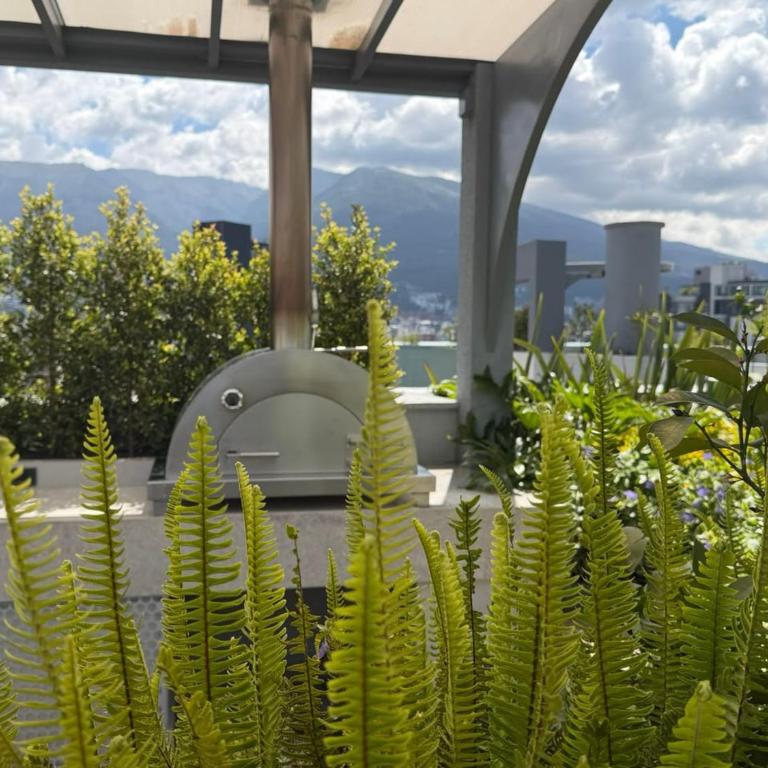 Suite en La Carolina - One-Bedroom Apartment - 8