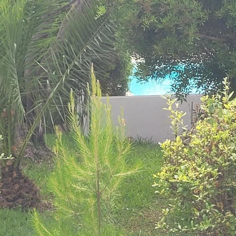 Georgesville - Suite Junior - Vue sur Piscine - 6