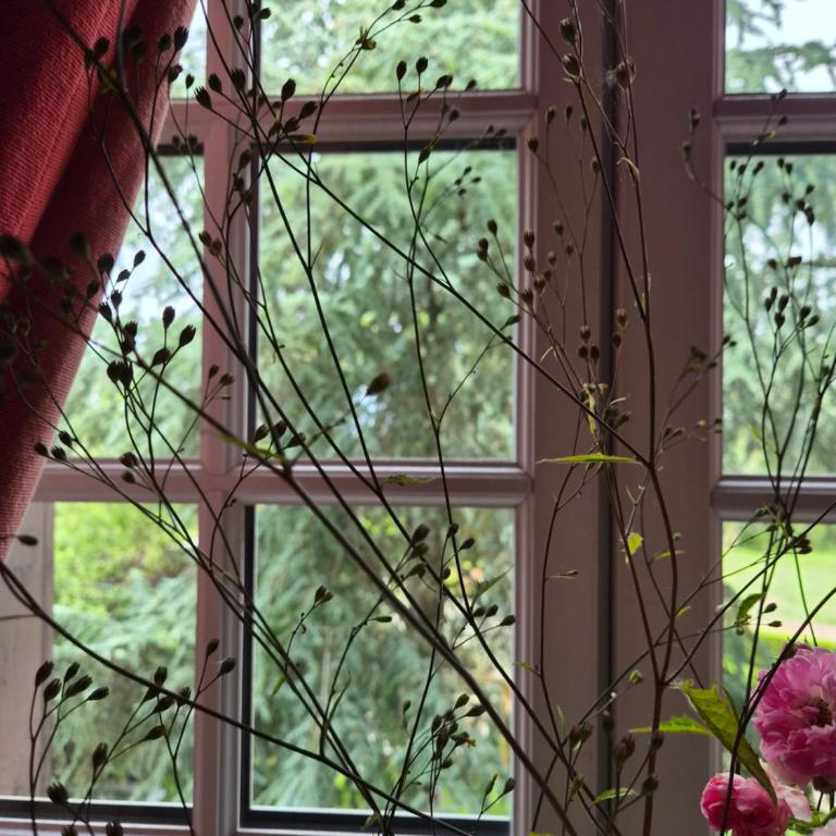 Le vieux pré de la motte - Appartamento con 1 Camera da Letto e Vista Giardino - 2