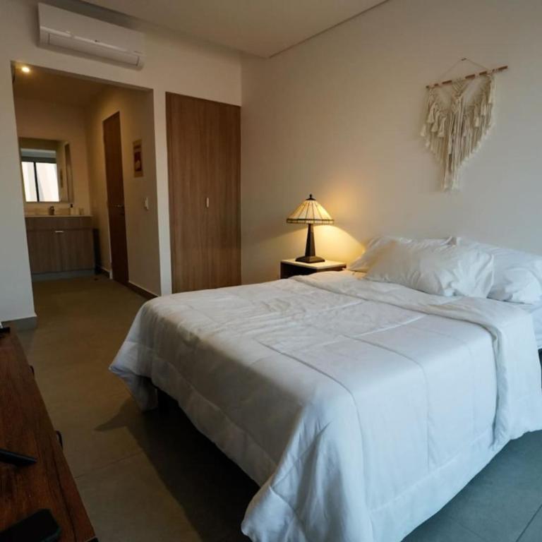 Depto Indico Frente al consulado EUA dos habitaciones - Appartement - 3