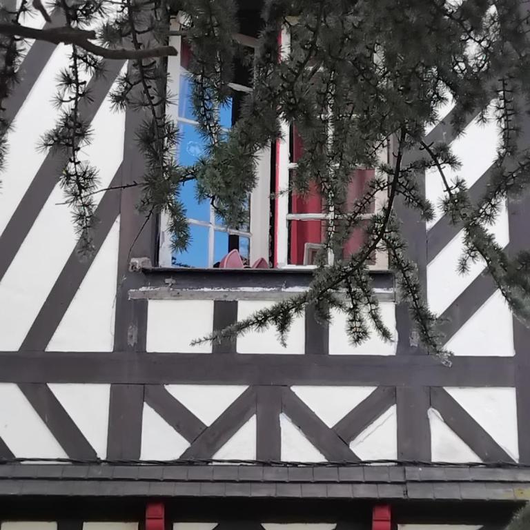 Le vieux pré de la motte - Appartamento con 1 Camera da Letto e Vista Giardino - 4
