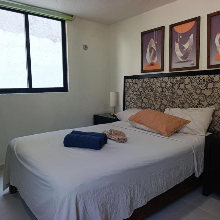 Departamento Centrico Cancun 4 personas con estacionamiento - Apartamento - 77