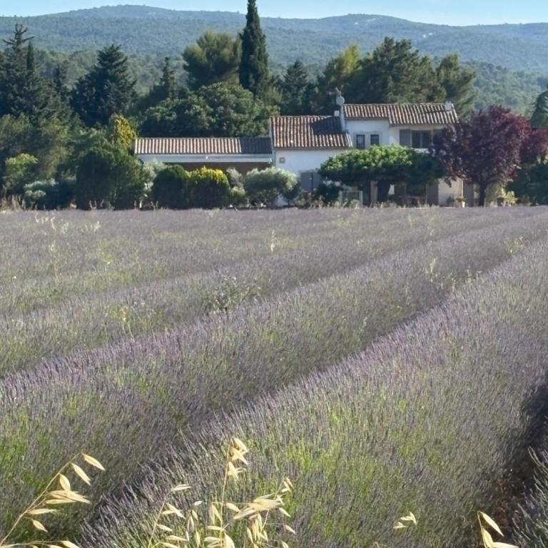 La Luberonne gordes - Villa 3 Chambres - 30