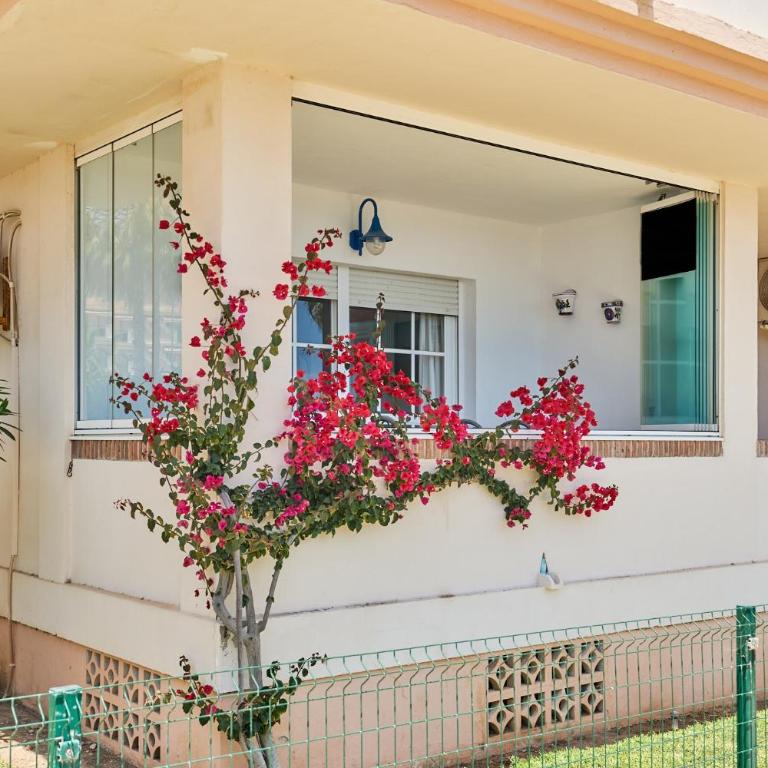Seafront Garden and Sea views - Apartamento Deluxe de 2 dormitorios con vistas al mar - 3