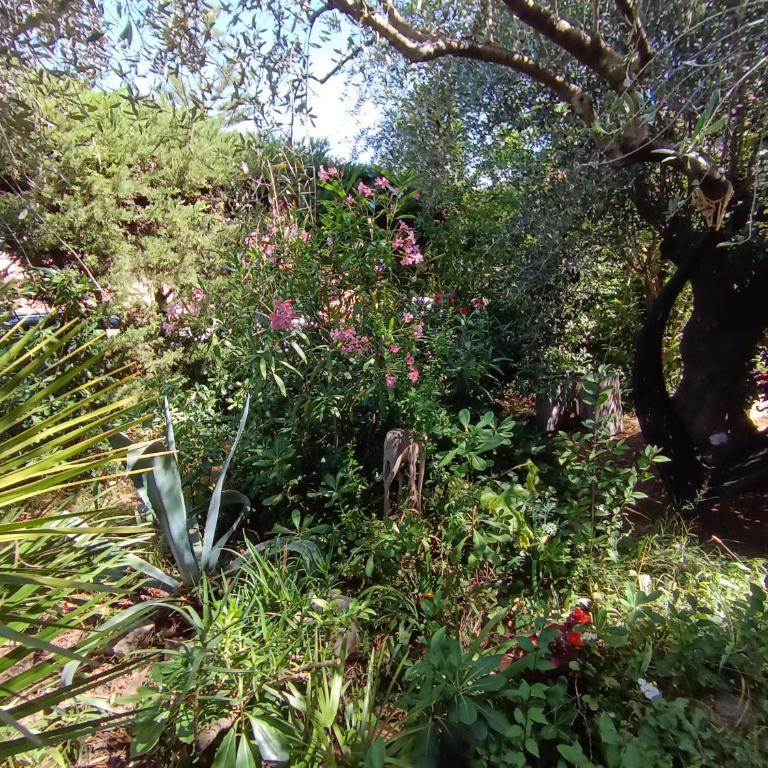 Havre de verdure Antibes Val Claret - Appartement 1 Chambre avec Jardin - 23