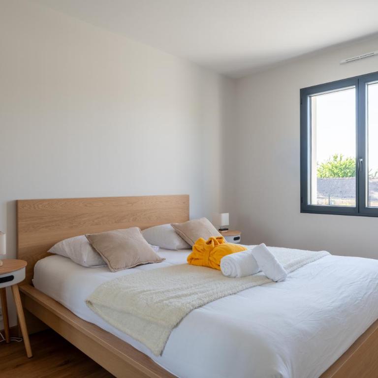 SPA Privatif Couvert - 6 pers - Beauval & Châteaux - La Sablonnière - Three-Bedroom House - 24