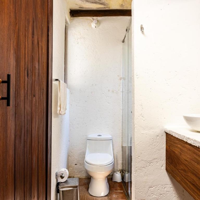 Casa La Picaza - Three-Bedroom House - 20