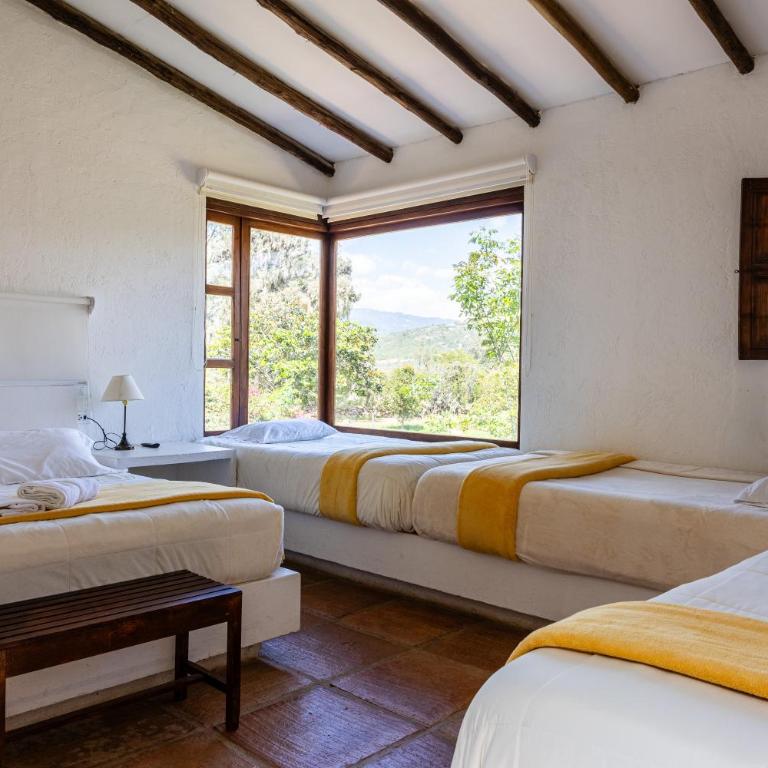 Casa La Picaza - Three-Bedroom House - 6