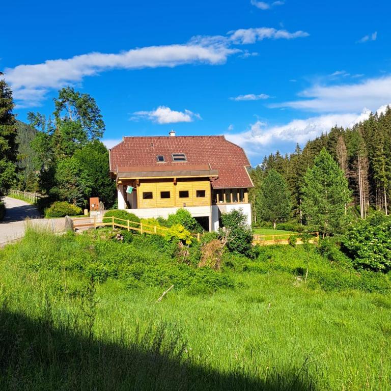 Ferienwohnung Haus Ebner - Apartment mit 1 Schlafzimmer - 4