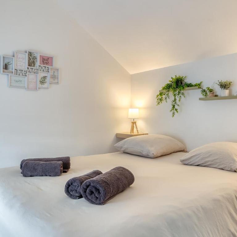 Nénuphar - Le Jardin des Plantes - Appartamento con 1 Camera da Letto - 12