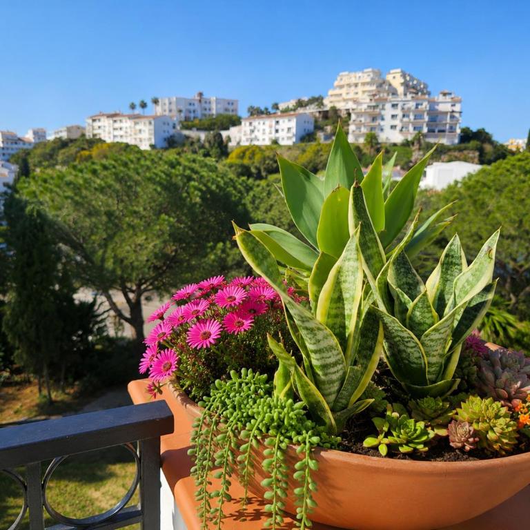 Monte B - Miraflores, Beach, Pools, Sea Views - Apartment mit 1 Schlafzimmer - 22