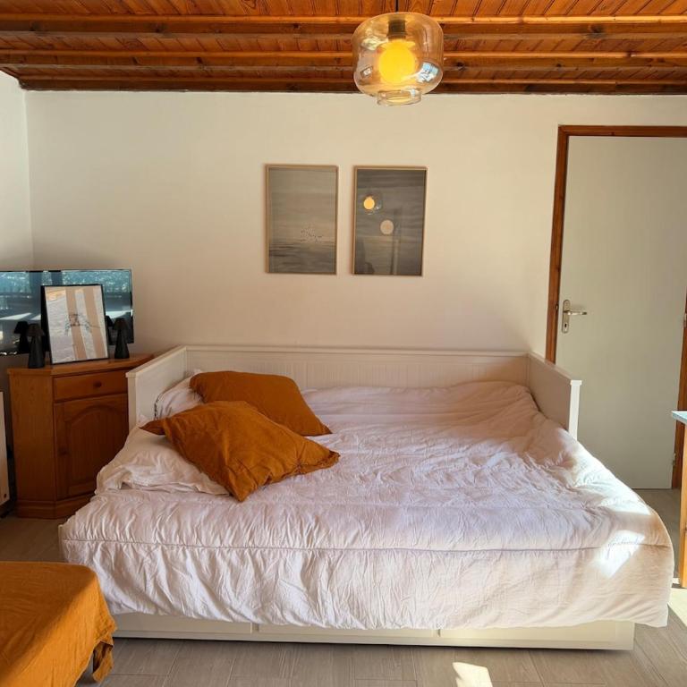 La cabane les pieds dans l'eau, accès direct au lac d'Annecy - Studio - 24