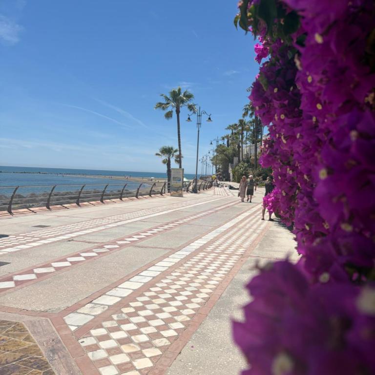 BENAL BEACH ideal - One-Bedroom Apartment - 20