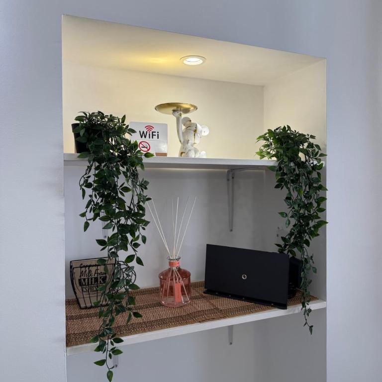Cozy Studio for Couples near Pitti Palace - Appartamento con 1 Camera da Letto - 8