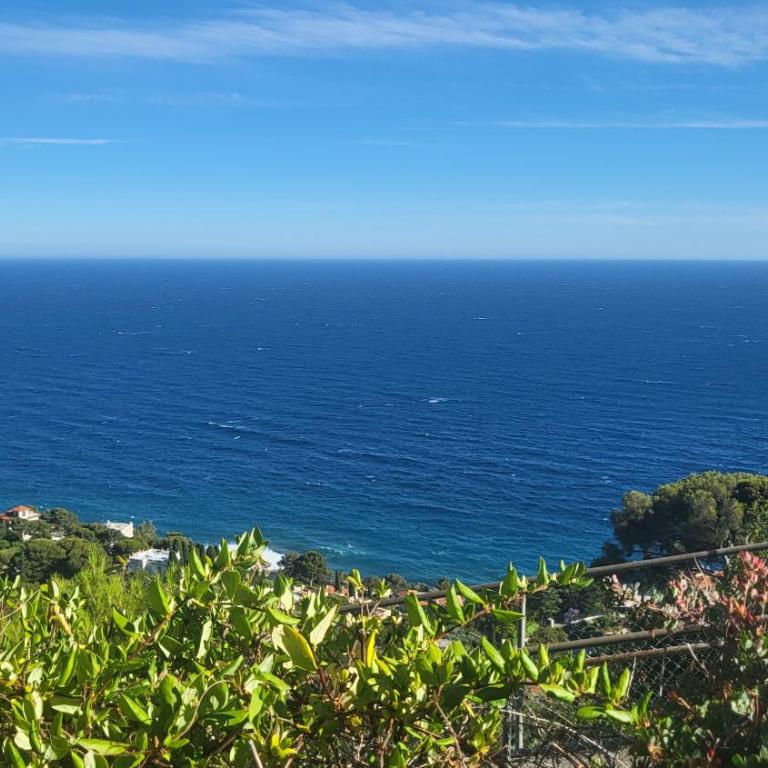 Costa Plana apartment with terrace and sea view - Appartement 1 Chambre - 2