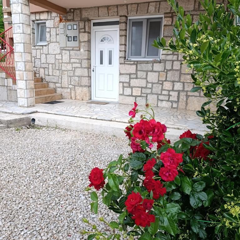 Apartmani Gudelj - Apartman sa 1 Spavaćom Sobom - 3