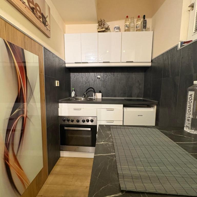 Belgrade Centar Apartments - Apartman sa 1 Spavaćom Sobom - 2