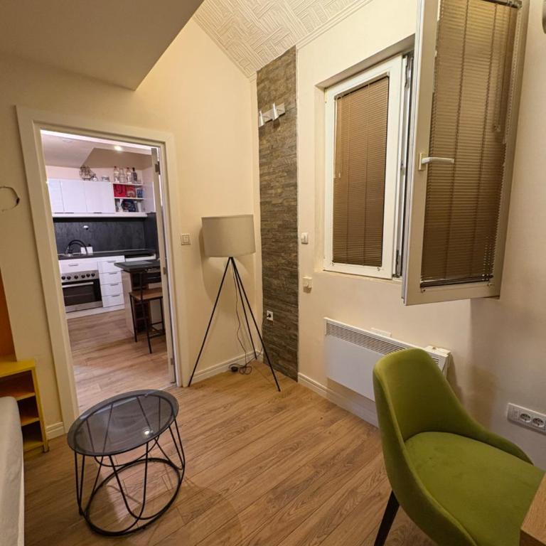 Belgrade Centar Apartments - Apartman sa 1 Spavaćom Sobom - 6