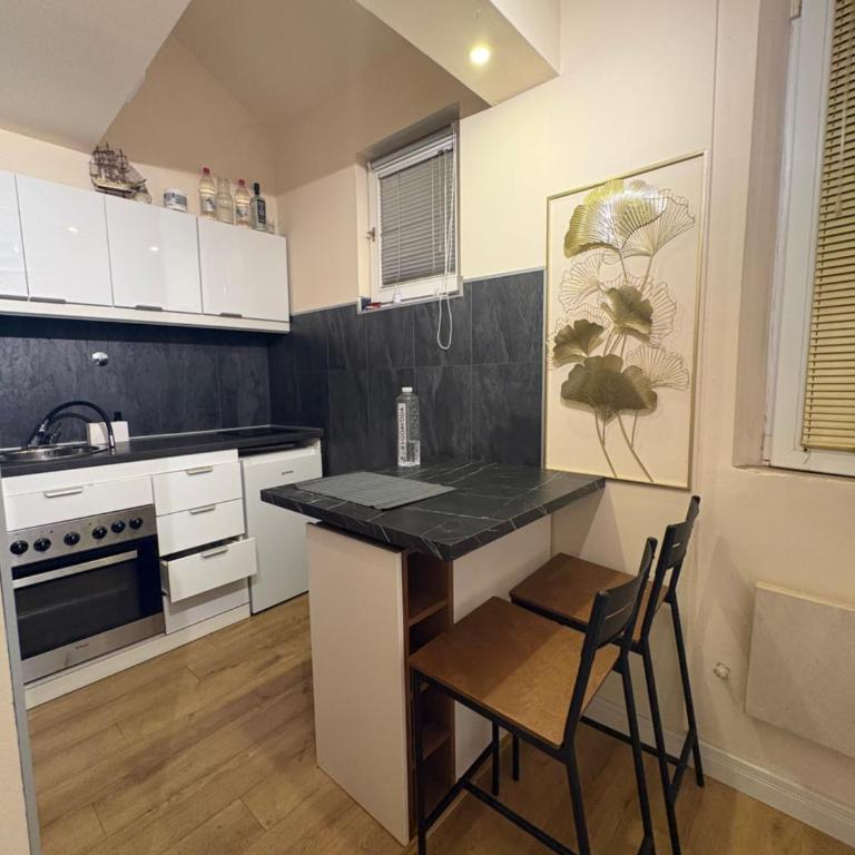 Belgrade Centar Apartments - Apartman sa 1 Spavaćom Sobom - 11