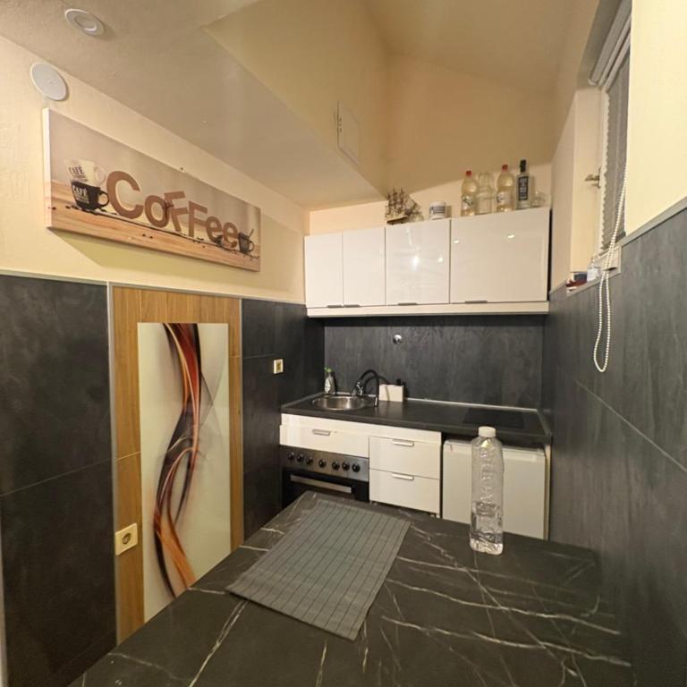 Belgrade Centar Apartments - Apartman sa 1 Spavaćom Sobom - 12