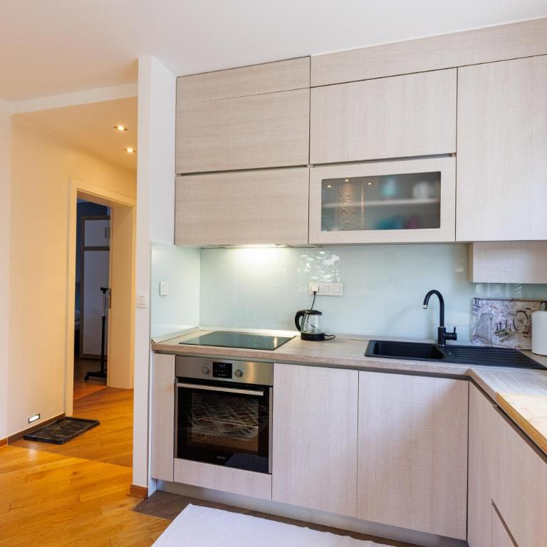 Modern & Fully equipped apartment near Sarajevo Bus station - One-Bedroom Apartment - 7