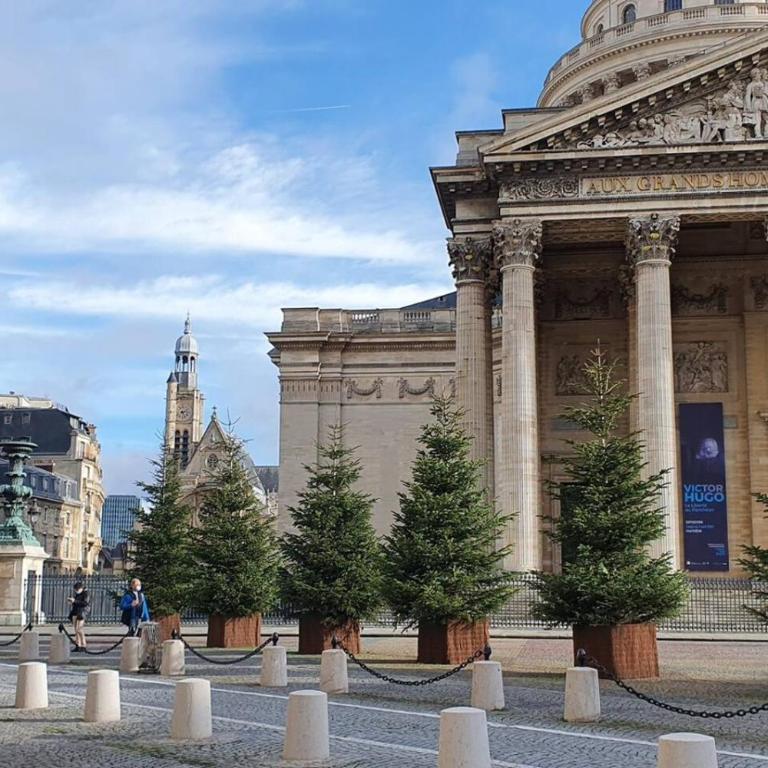 Charming Studio Pantheon Sorbonne Latin Quarter - Apartment - 2