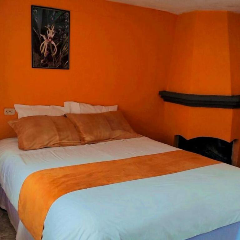 Las Orquídeas Runtun Lodge - Standard Double Room - 2