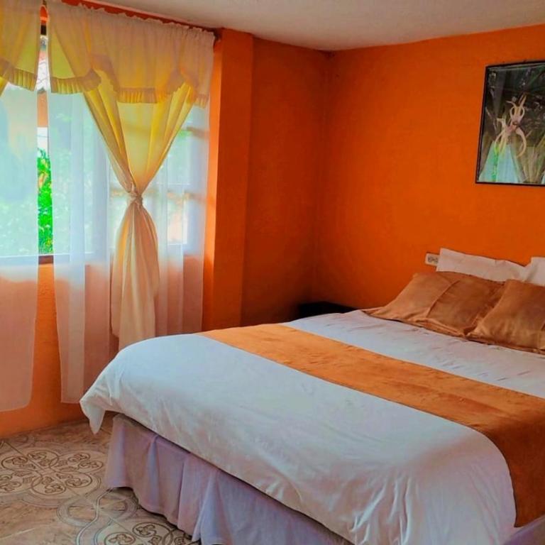 Las Orquídeas Runtun Lodge - Standard Double Room - 1