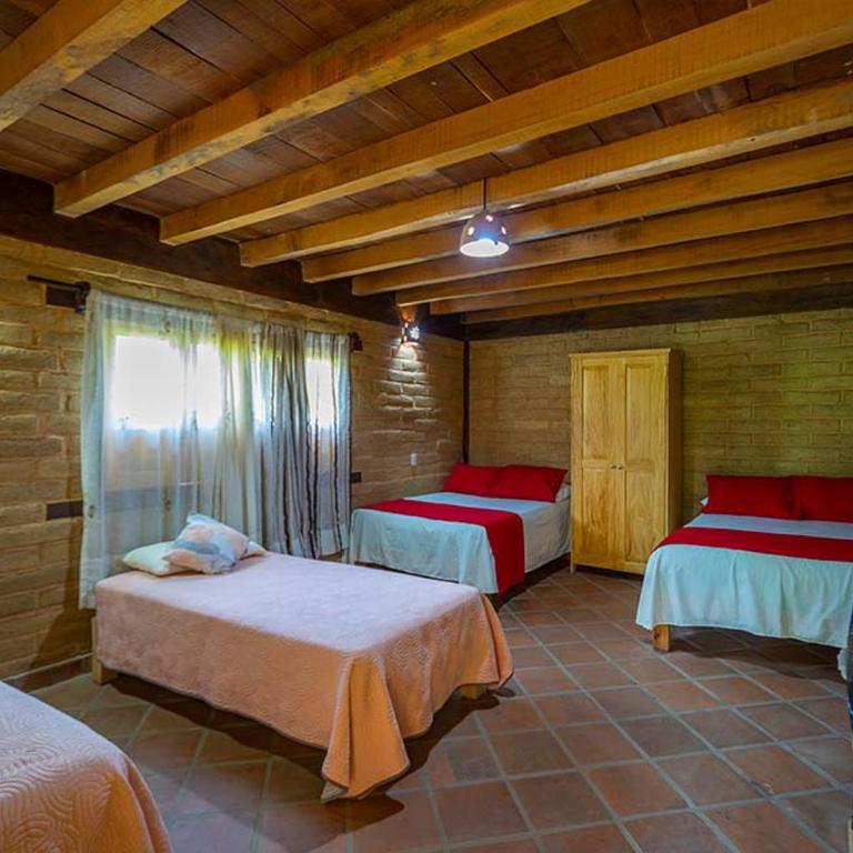 Jorullo Paradise - Chambre Double avec Terrasse - 4