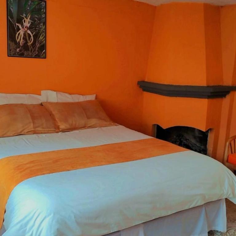 Las Orquídeas Runtun Lodge - Standard Double Room - 3