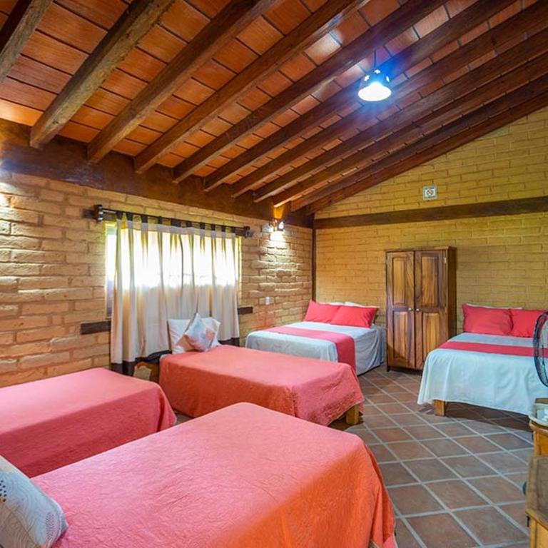 Jorullo Paradise - Chambre Double avec Terrasse - 2