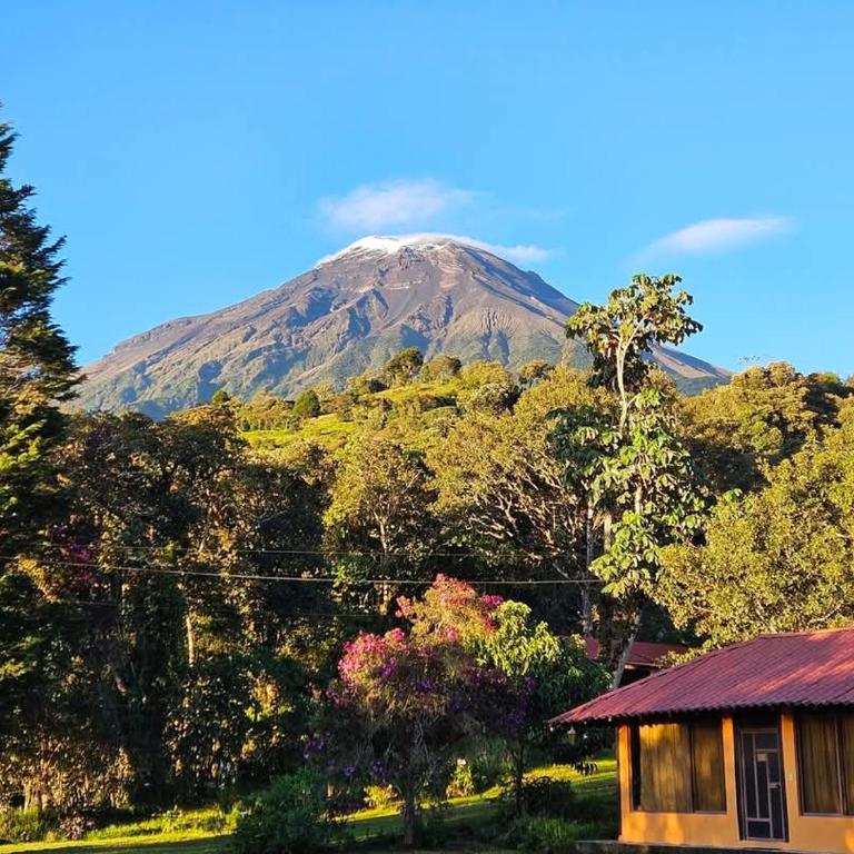 Las Orquídeas Runtun Lodge - Family Room with Private Bathroom - 4