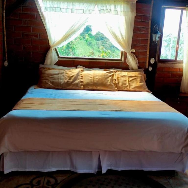 Las Orquídeas Runtun Lodge - Standard Double Room - 4
