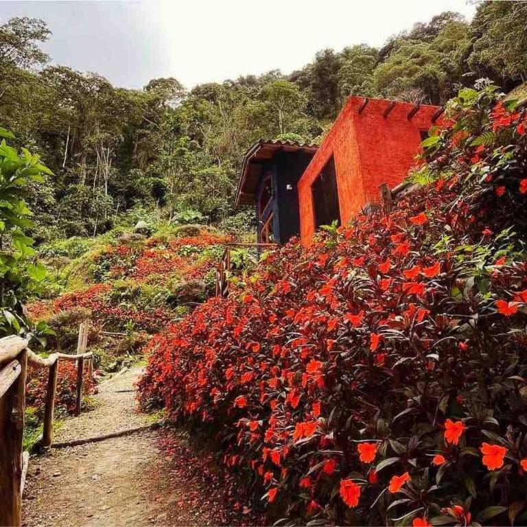 Casa Montserrat - Like from a FAIRY TALE - Casa - 14