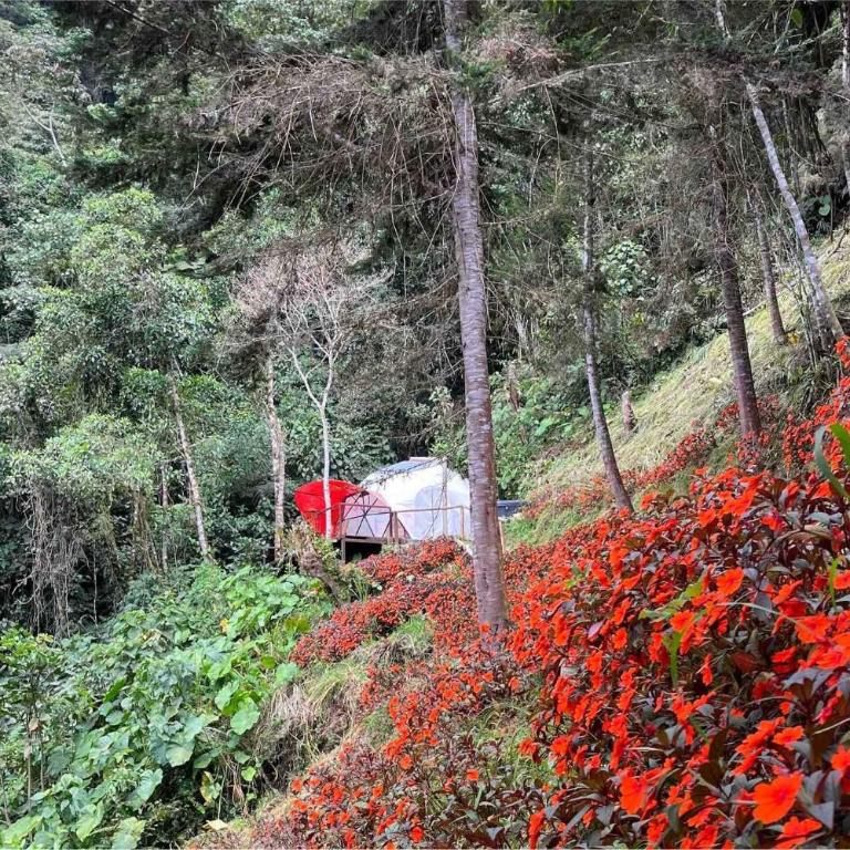 Domo Poptas in the high mountains - Vacation Home - 15