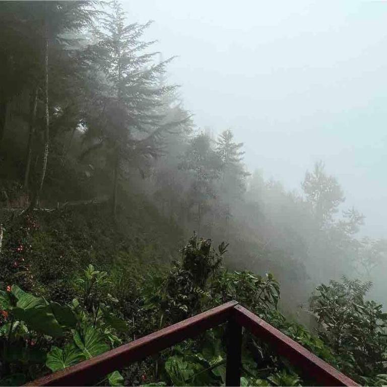 Domo Poptas in the high mountains - Vacation Home - 16
