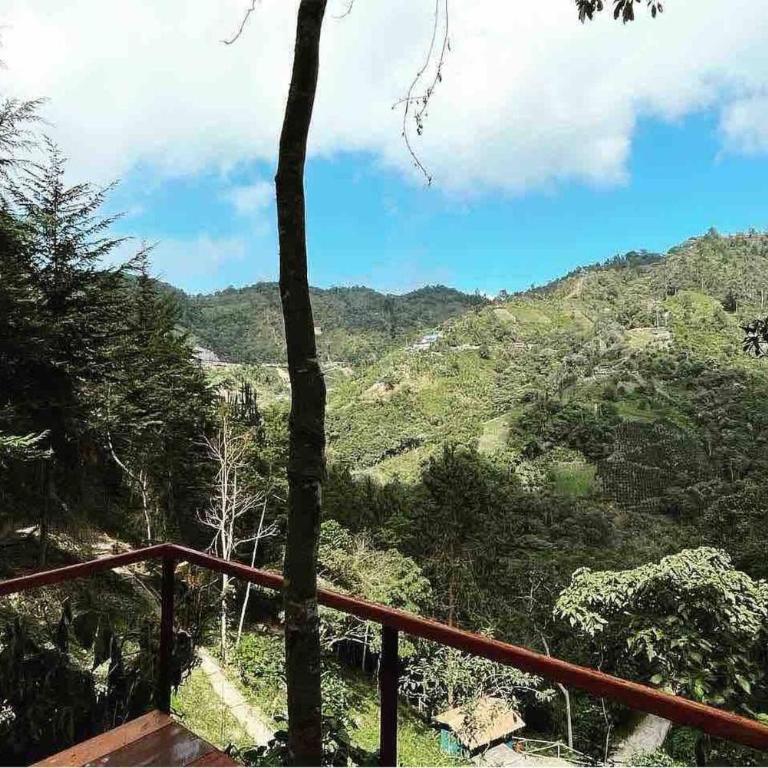 Domo Poptas in the high mountains - Vacation Home - 23