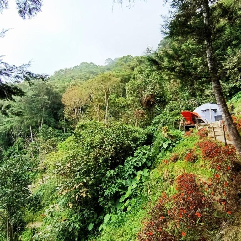 Domo Poptas in the high mountains - Vacation Home - 35