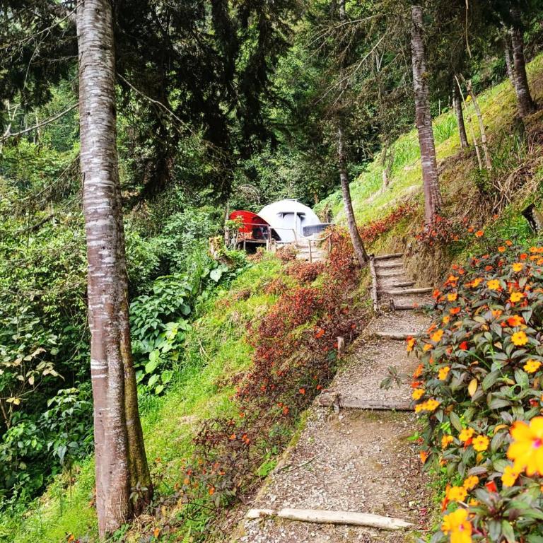 Domo Poptas in the high mountains - Vacation Home - 37