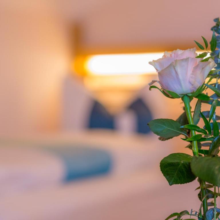 Hotel Christine - Standard Einzelzimmer mit Dusche - 7