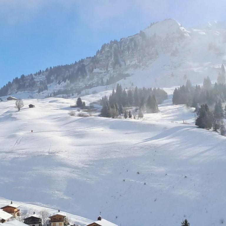 Stay at the slopes stunning mountain views! - Apartment - 13