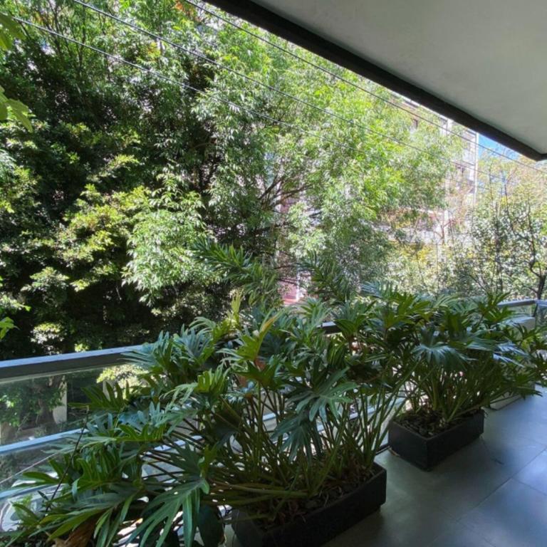 ENS- Quiet Apartment with Terrace in Condesa - Apartamento - 2