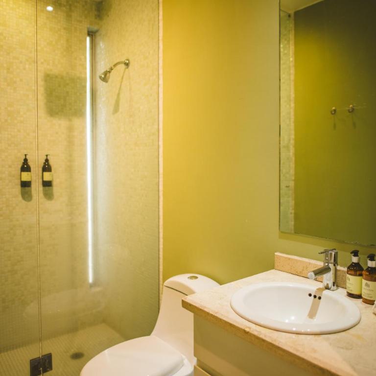 ENS- Quiet Apartment with Terrace in Condesa - Apartamento - 12