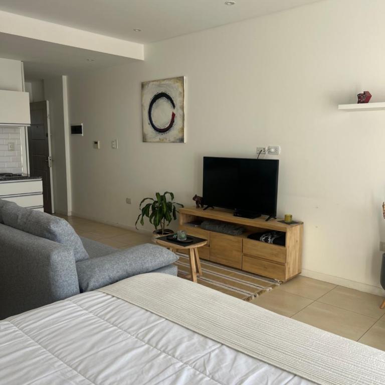 CONDOMINIOS DE BAHIA GRANDE NORDELTA Tigre - Estudio con cama extragrande y sofá cama - 3