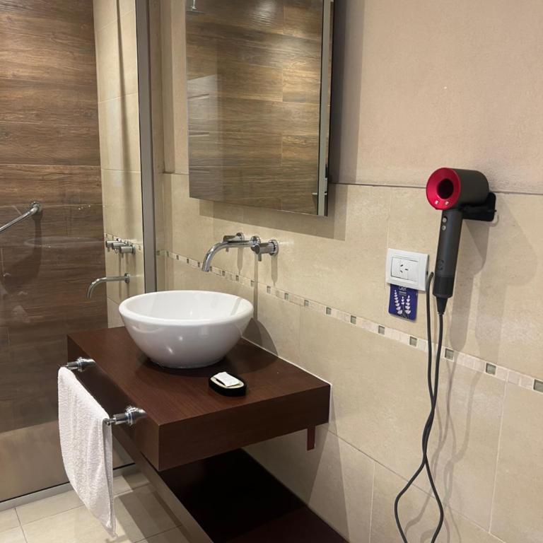 CONDOMINIOS DE BAHIA GRANDE NORDELTA Tigre - Estudio con cama extragrande y sofá cama - 9