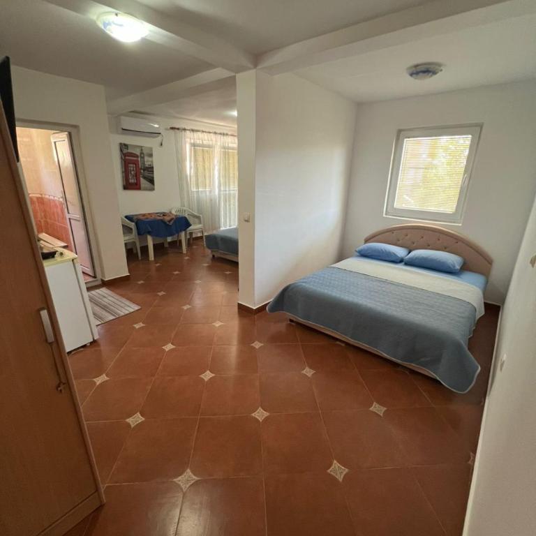 Apartmani Radosavovic - One-Bedroom Apartment - 2