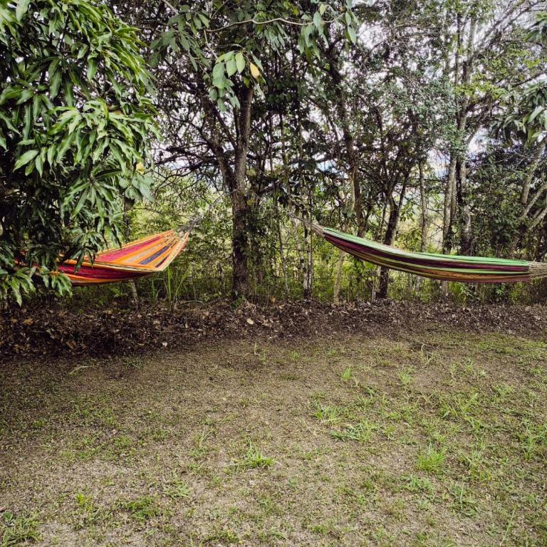 Cabaña MACAREGUA - Curití Santander - Casa Vacacional de 3 dormitorios - 22