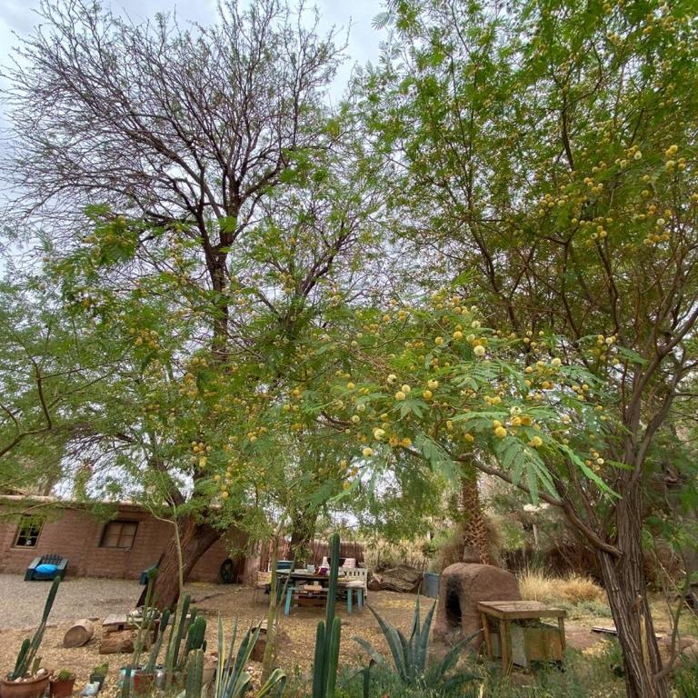 Celebra la Vida, Casa Agua - Casa de 4 dormitorios - 32