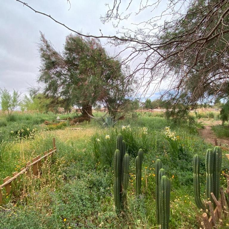 Celebra la Vida, Casa Agua - Casa de 4 dormitorios - 40