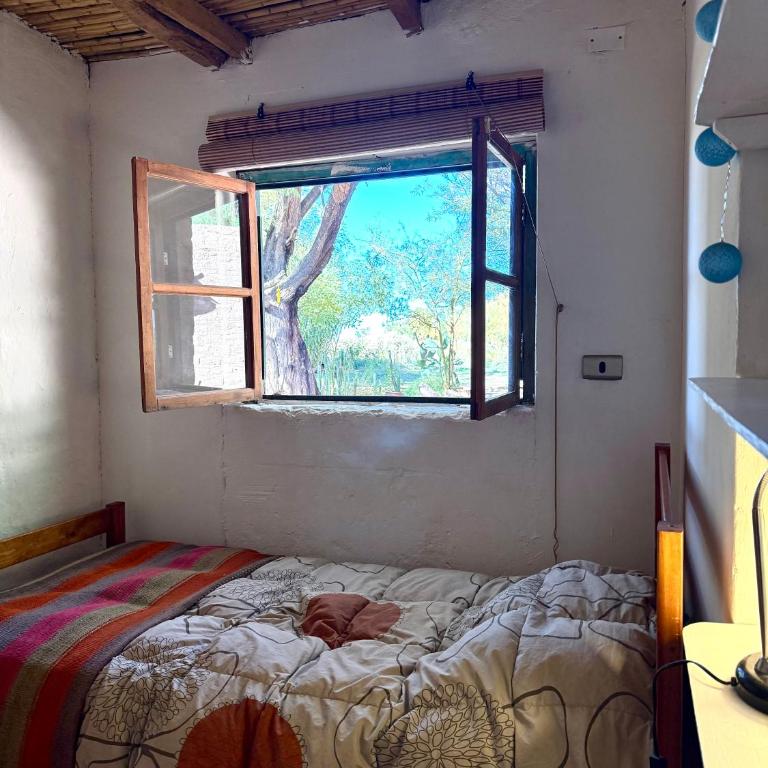 Celebra la Vida, Casa Agua - Casa de 4 dormitorios - 42